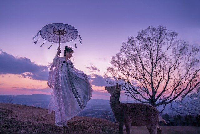 mujer joven china con paraguas en un precioso atardecer con un árbol al lado